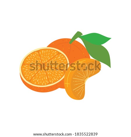 Orange illustration Design Slice Part Piece