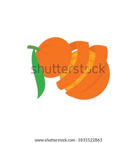 Orange Peel illustration Design Slice Part 
