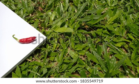 A natural garden lawn background with triangular white field ornament and artistic red chilies for a garden or outdoor culinary theme