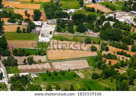 crops and fields in gilgit baltistan 
