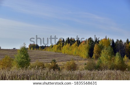 Colored tree crowns of the autumn forest near unmown meadows with dry grass .. Autumn is in full swing in the foothills of the Western Urals.