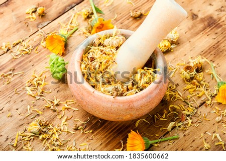 Dried calendula in a mortar and pestle.Herbal medicine and homeopathy