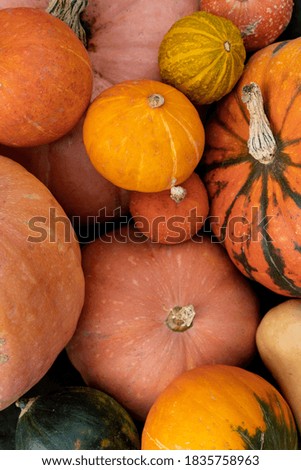 Selection of pumpkins in a basket. Seasonal autumnal image with copy space