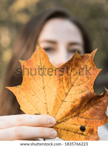 Female model holding yellow maple leaf close to camera. Autumn season concept. Autumn portrait.