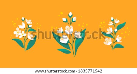 Branch of Jasmine tree. Flat vector colorful illustration for cosmetics, perfumeries and food packaging. Royalty-Free Stock Photo #1835771542