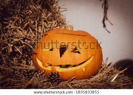 a Halloween pumpkin stands decoratively on a straw bale