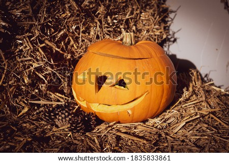 a Halloween pumpkin stands decoratively on a straw bale