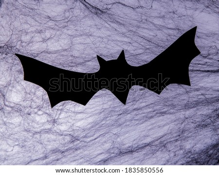 Halloween background with decorative black spider web and bat. Artificial black web for the Halloween village. Space for text, frontal view.
