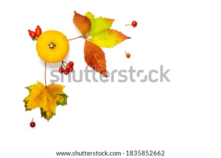 Thanksgiving background. Autumn Natural food, harvest with orange pumpkin, fall dried leaves, rowan berries isolated on white background. Design mock up. Horizontal.