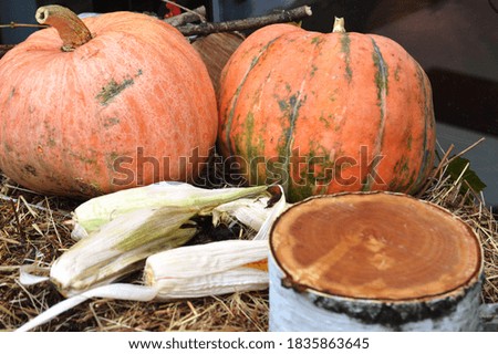 Halloween.Compositions of pumpkins and objects