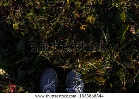 boots on the grass. autumn