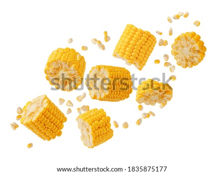 Broken flying sweet corn cob with grains isolated on white. Design element for product label, catalog print. Royalty-Free Stock Photo #1835875177