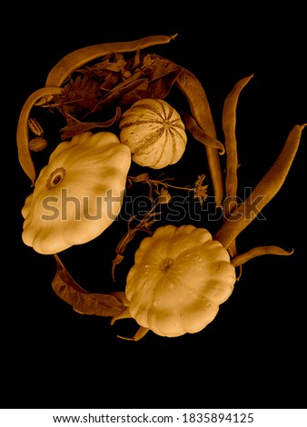 SCALLOP SQUASH ,SWEET DUMPLING , RUNNER BEANS ,SPINACH & RED RED Russian Kale ,CALENDULA MARIGOLD FLOWERS ON DARK BACKGROUND .SEPIA COLOUR .