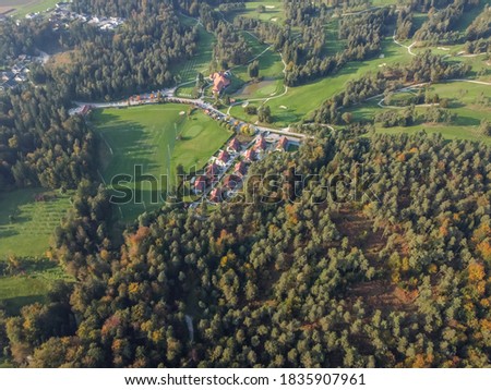 autumn beautiful park with trees aerial drone view