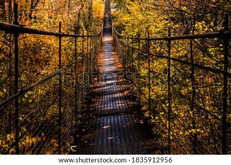 Suspension bridge, Crossing the river, ferriage in the woods, autumn forest Royalty-Free Stock Photo #1835912956