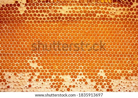 Honeycomb close-up, honey from the beehive. Natural farm product, it is free of nitrates and pesticides