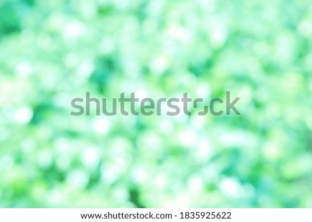 Abstract Blurred green Color pattern background, Colorful, Defocused background. Blurred bright light.
