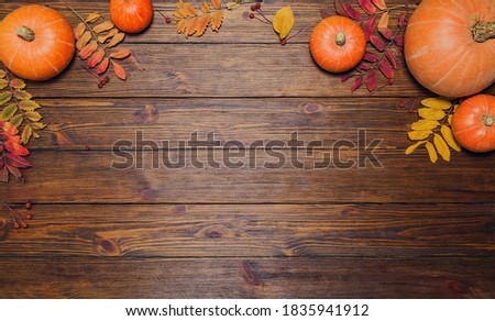 autumn wood background. orange pumpkins and colorful leaves around the edge. copy space