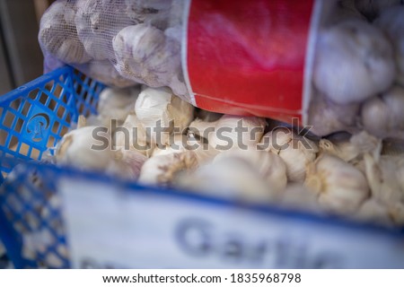 Picture of the word Garlic Written on a blurry Sign on a Blue Plastic Basket Full of Garlic