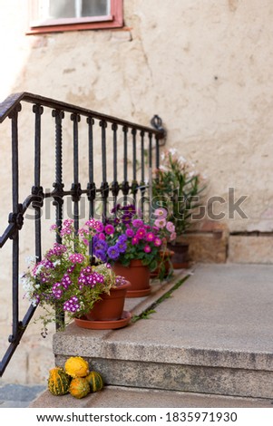 Terrace with flowers in pots. Image with selective focus.