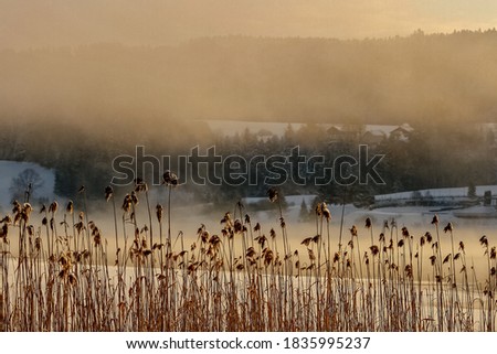 Winter scene from Saint-Point Lake Jura France