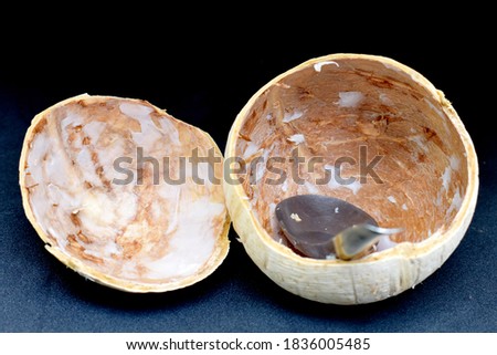 White coconut shells, scraped off the coconut pulp and placed on a dark background.