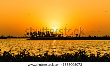 Evening sunset shot taken from  Expo Lake Dubai, UAE.