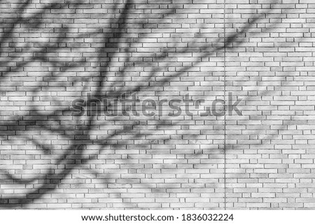 brick wall texture background on day noon light for interior or exterior decoration
