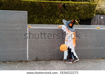 Cute little child in witch hat trick-or-treating on street outdoors with pumpkin bag decorating parking entrance with pumpkins. Kid celebrate traditional Halloween holiday. Trick or treat.