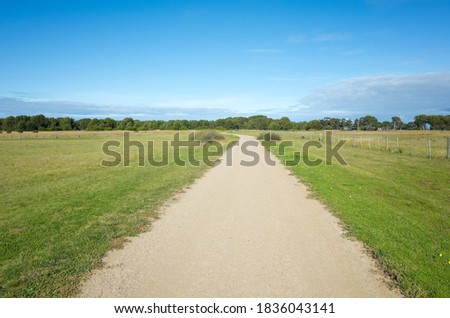 Background texture of a dirt footpath in a large green field with the woods in the distance against the blue sky. Copy space for text. The Cheetham Wetlands, Melbourne, VIC Australia.