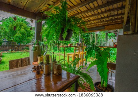 The blurred view of the coffee shop decoration by using vases, small plants as a corner for taking pictures to customers, increasing sales and beautifying the audience.