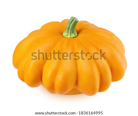 Fresh whole yellow summer squash isolated on a white background. Clip art image for package design.