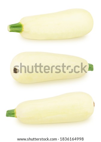 Set of fresh whole white vegetable marrow zucchini isolated on a white background. Clip art image for package design.