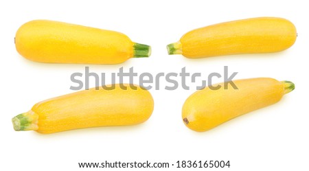 Set of fresh whole yellow vegetable marrow zucchini isolated on a white background. Clip art image for package design.