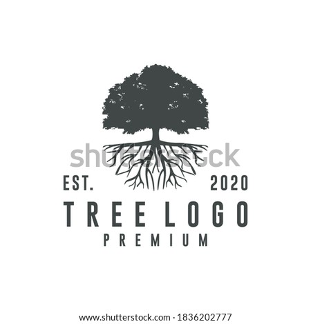 rooted tree vector design logo Royalty-Free Stock Photo #1836202777