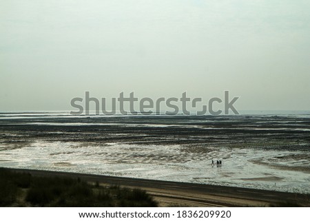 The picture from the oyster farm in Normandy in France at Gouville-sur-Mer during the low tide. 