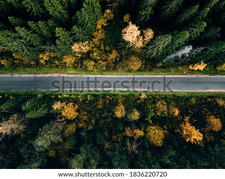 Aerial view of road in beautiful autumn forest. Beautiful landscape with rural road and trees with colorful leaves.