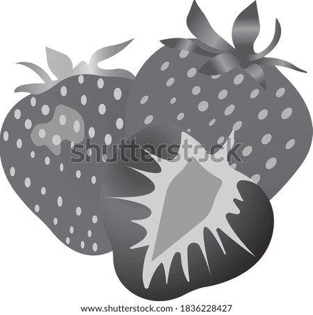 Red strawberries. Grayscale image of food. Vector illustration isolated on white background.