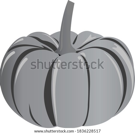 Ripe orange pumpkin with a brown twig. Grayscale image of food. Vector illustration isolated on white background.