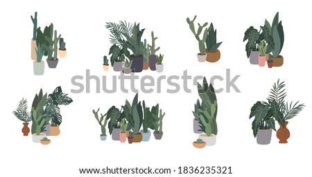 Potted plants collection. Urban jungle, trendy home decor with plants, cactus, tropical leaves. Set of house indoor plant vector hand drawn cartoon illustration