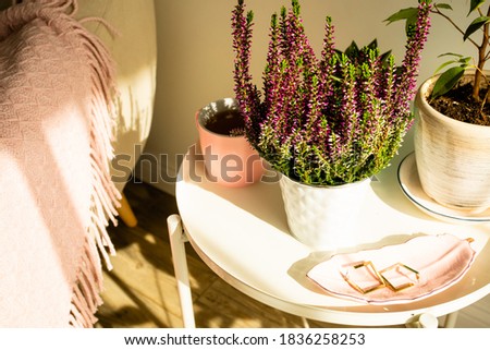 Using plants as part of colour interior details