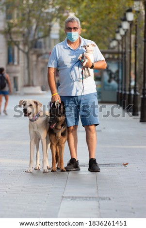 man walking dogs around big city with german shepherd mastiff and chihuahua