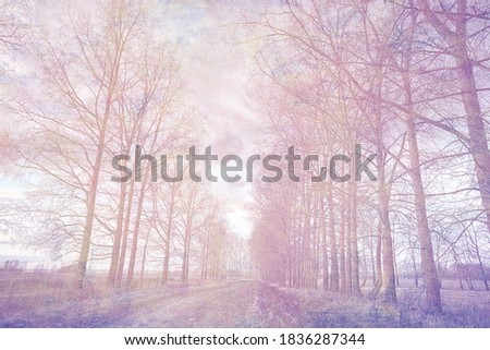 Abstract background autumn park yellow vintage old
