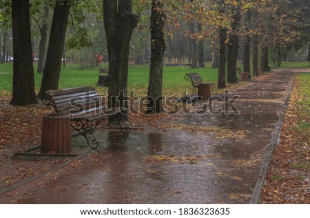 Walk in the rain in the autumn park. Boyarka town. Kiev region, Ukraine.