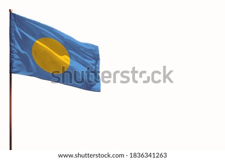 Fluttering Palau flag isolated, mockup with the place for your text on white background.