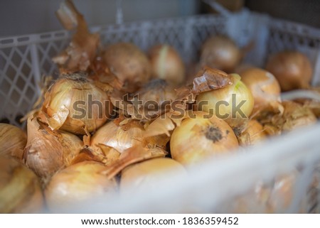Picture of Fresh Brown Onions in a Blurry White Plastic Basket For Sale