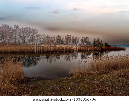 Picture of Headland on Pogoria III Lake in Dabrowa Gornicza, Poland.