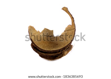 Coconut Shells Isolated on White Background