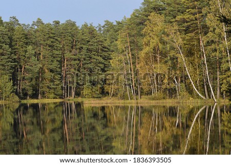 Reflections of autumn trees and blue sky in a forest lake