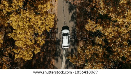 Top view aerial tracking shot of White car moving on gravel road along yellow autumn trees and countryside fields.